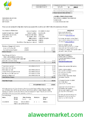 USA Massachusetts Chelsea UI The United Illuminating Company business utility bill Word and PDF template